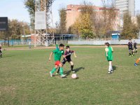 IMG_8365
